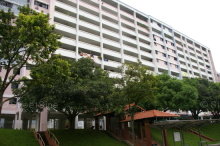 Blk 217 Bukit Batok Street 21 (Bukit Batok), HDB 3 Rooms #334332